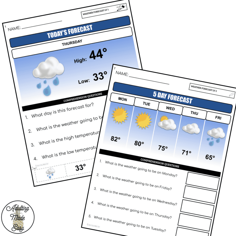 Functional Reading Life Skills Worksheets BUNDLE