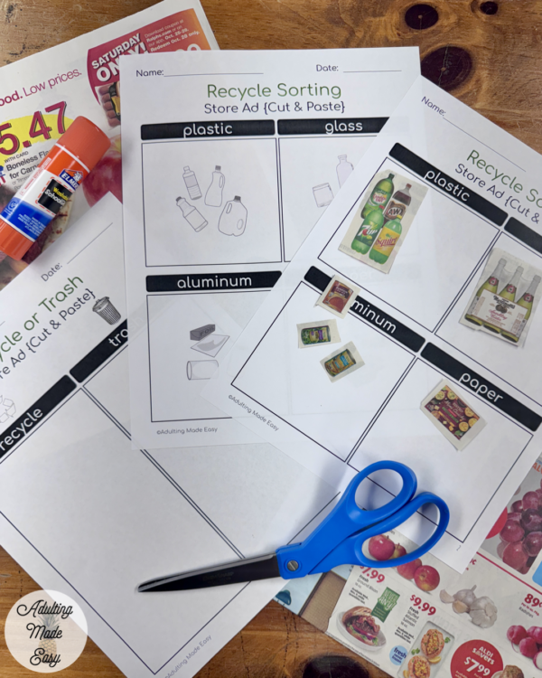 Recycle Sorting - Store Ad (Cut & Paste) Worksheets FREEBIE