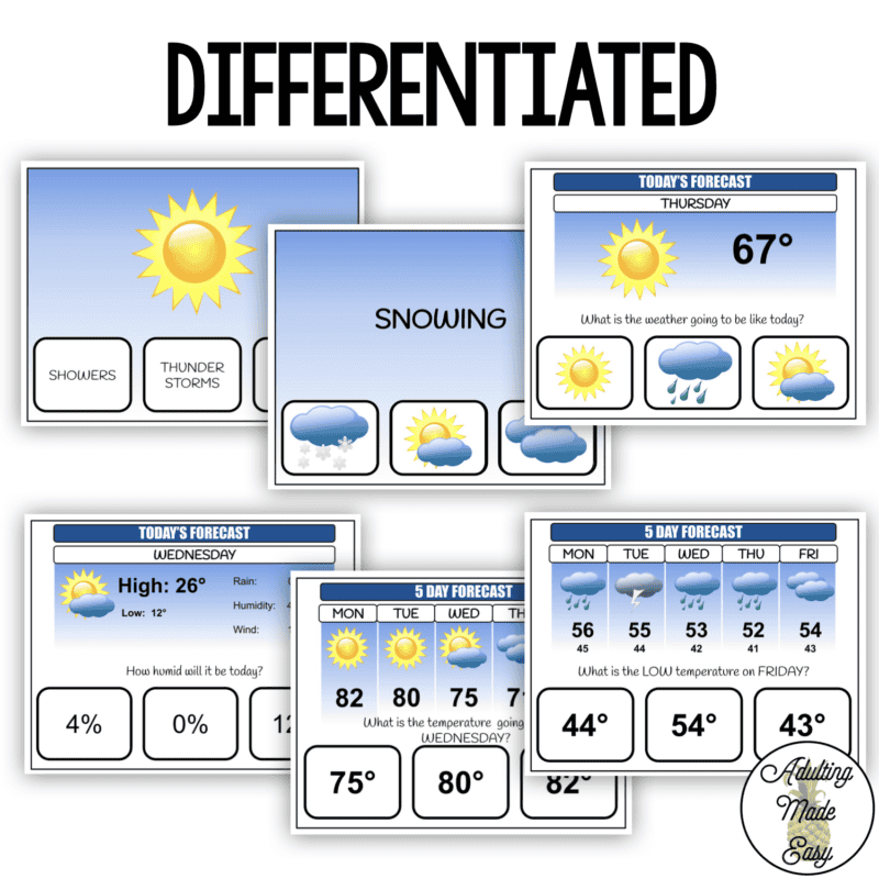 Weather Forecast Digital Task Cards