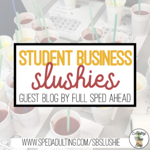 BLOG: Slushie Classroom Student Business for Special Education