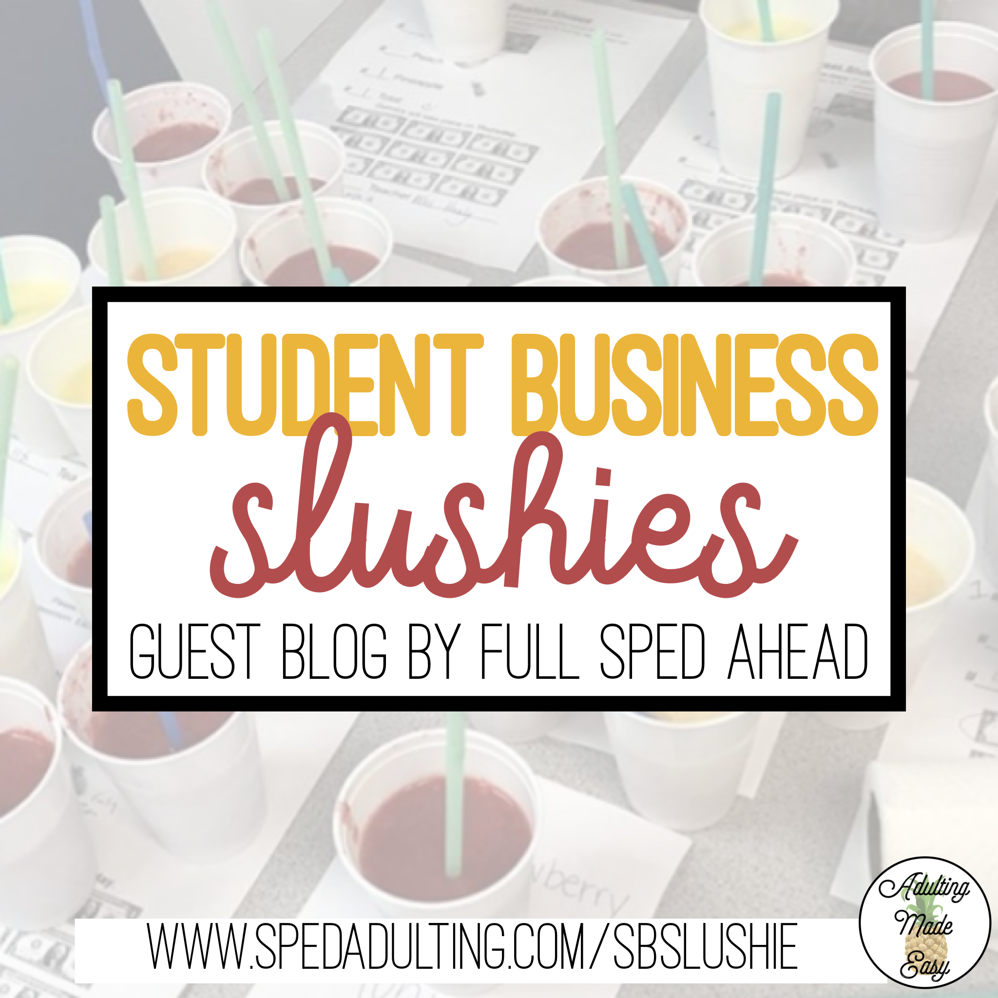BLOG: Slushie Classroom Student Business for Special Education