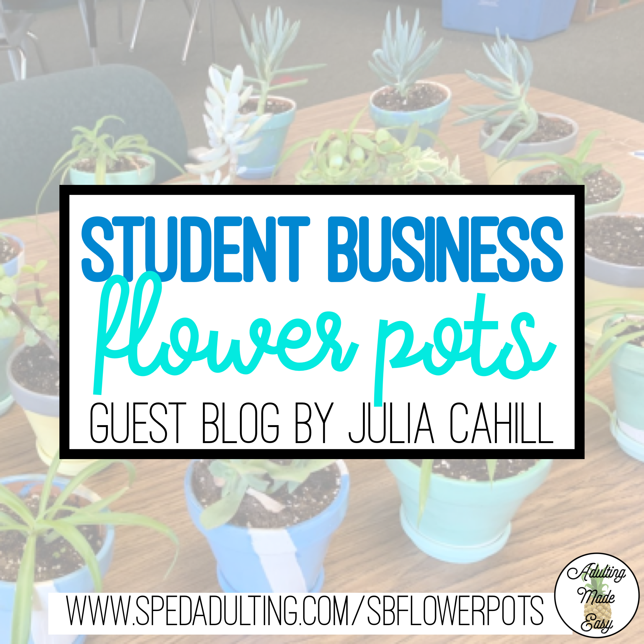 BLOG: Classroom Student Business for special education: Flower Pots