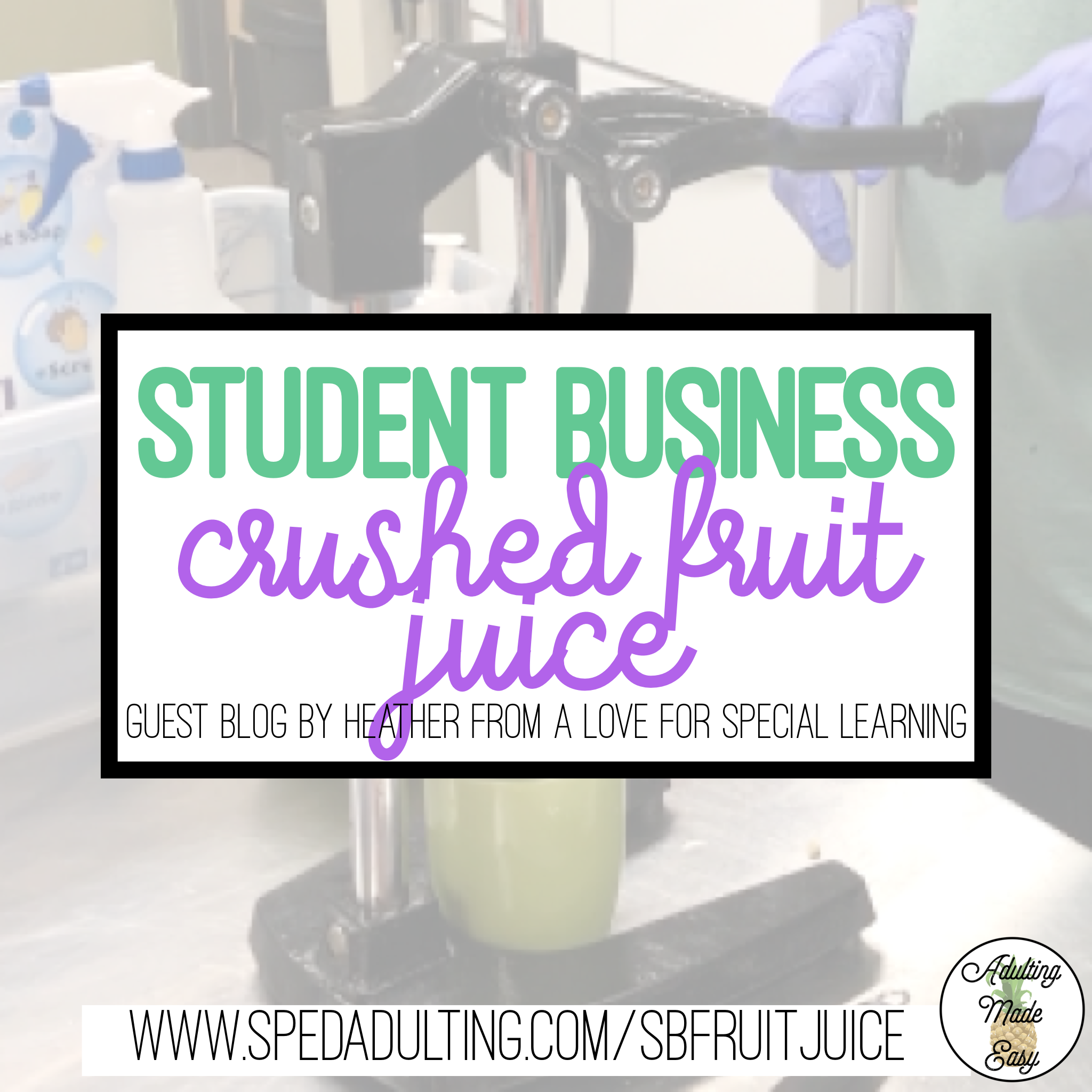 BLOG: Classroom Student Business for Special Education selling fruit crushing juice