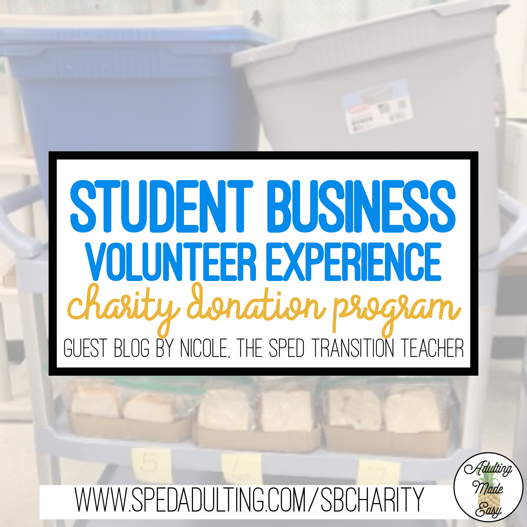 BLOG: Student Business Volunteer Experience charity donation program for special education students