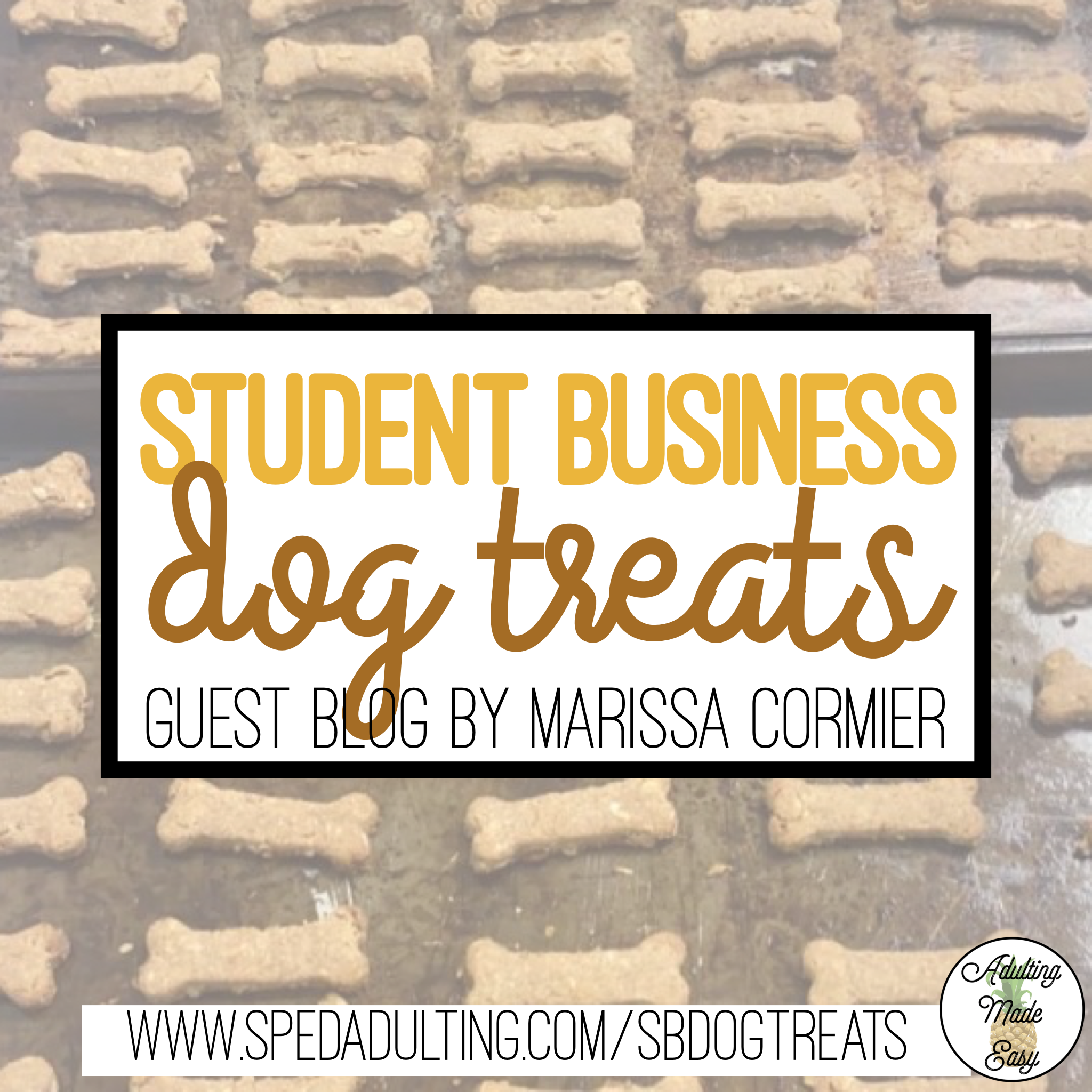 BLOG: Special Education Student Business Dog Treats
