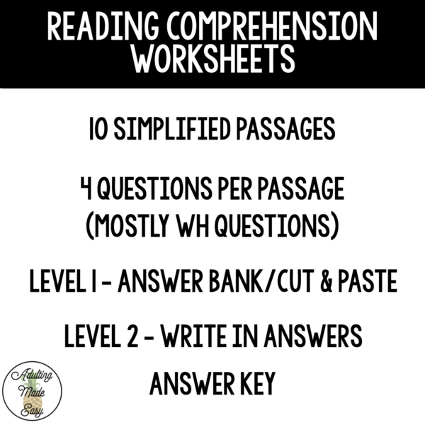 Holidays Simplified Reading Comprehension Worksheets - Image 3