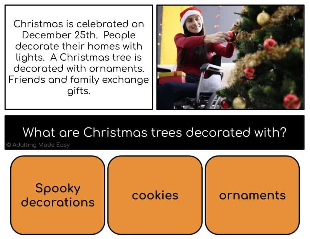 Holidays 2 Reading Comprehension Digital Activity