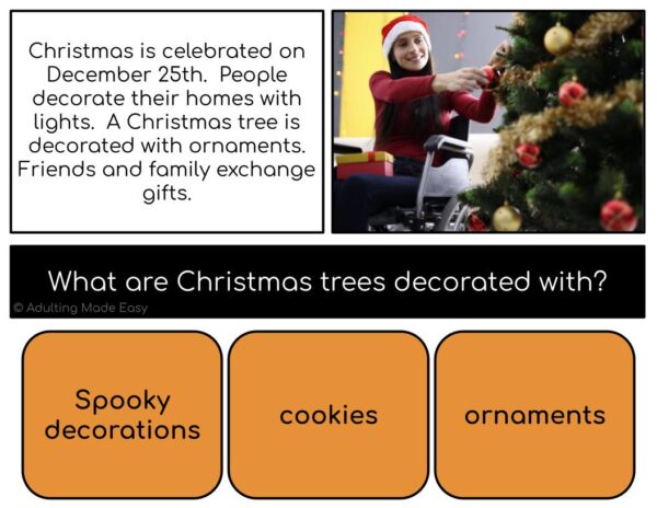 Holidays #2 Simplified Reading Comprehension Digital Task Cards - Image 3