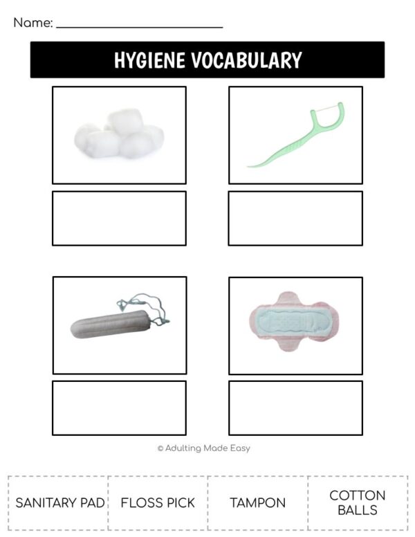 Hygiene Functional Vocabulary CUT AND PASTE Worksheets