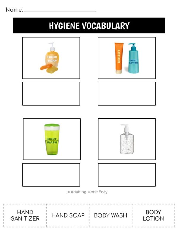 Hygiene Functional Vocabulary CUT AND PASTE Worksheets