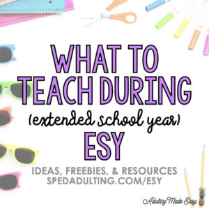 BLOG: What to teach during ESY