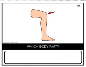 Body Parts Word to Picture Task Cards