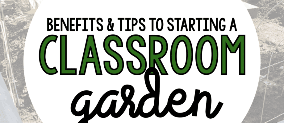Benefits & tips to starting a classroom garden