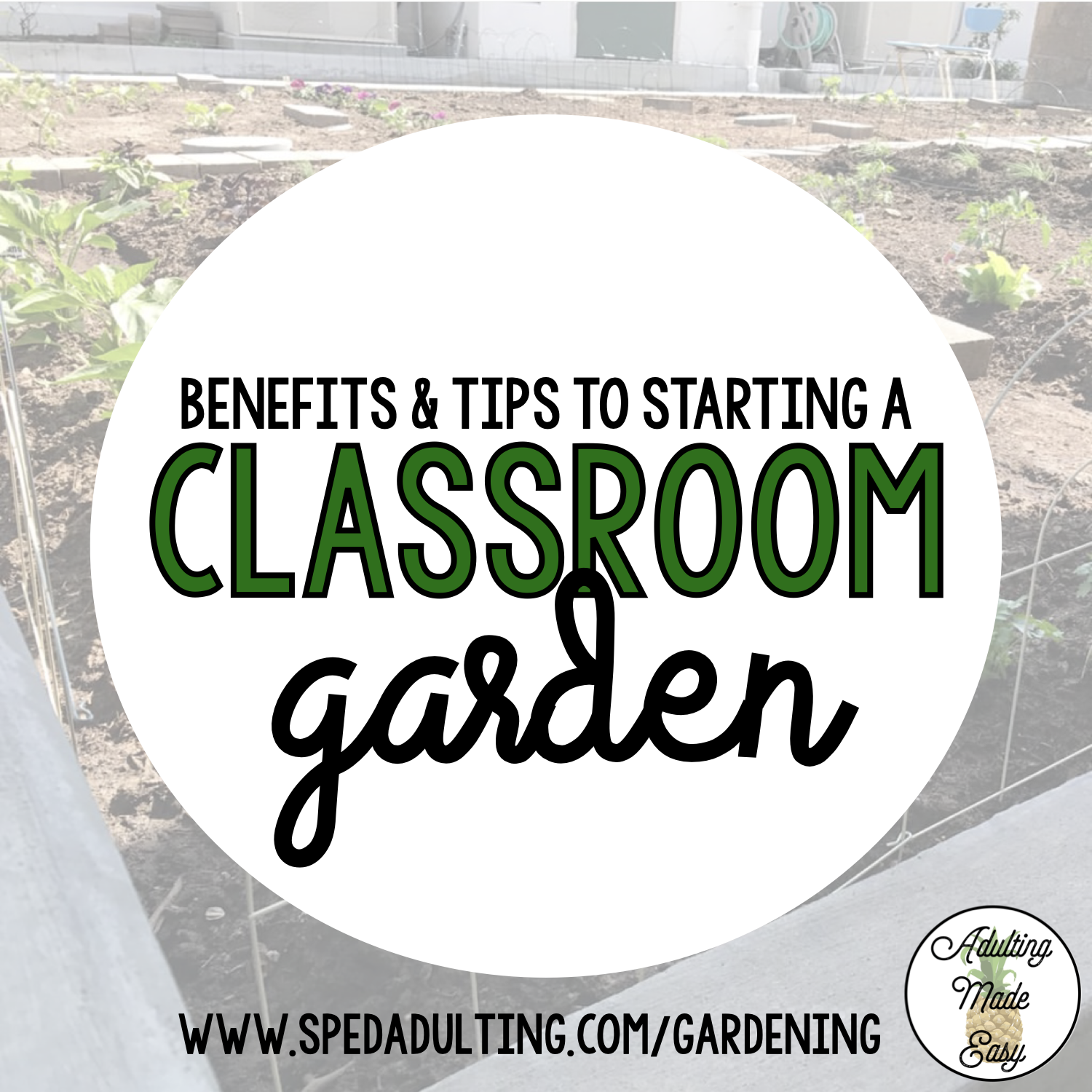 Benefits & tips to starting a classroom garden