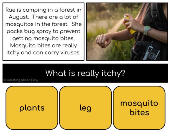 Summer Safety Simplified Reading Comprehension Digital Task Cards - Image 3