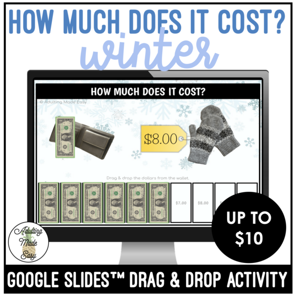 Winter How Much Does It Cost? Up to $10 Google Slides Activity