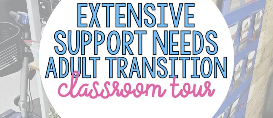 BLOG: Extensive Support Needs Adult Transition Classroom Tour