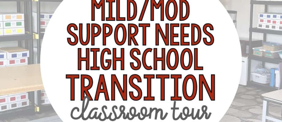 BLOG: Mild/Mod Support Needs High School Transition Classroom Tour