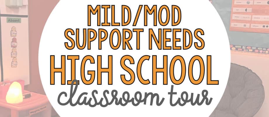 BLOG: Mild/Mod Support Needs High School Classroom Tour