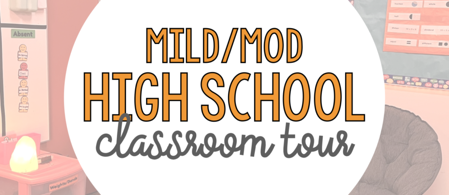 BLOG: Mild/Mod High School Classroom Tour