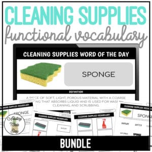 Cleaning Supplies Functional Vocabulary BUNDLE