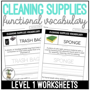 Cleaning Supplies Functional Vocabulary LEVEL 1 Worksheets