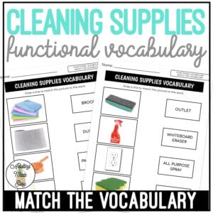 Cleaning Supplies Functional Vocabulary MATCH THE WORD Worksheets
