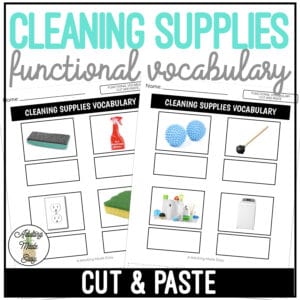 Cleaning Supplies Functional Vocabulary CUT AND PASTE Worksheets