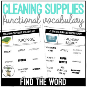 Cleaning Supplies Functional Vocabulary FIND THE WORD Worksheets