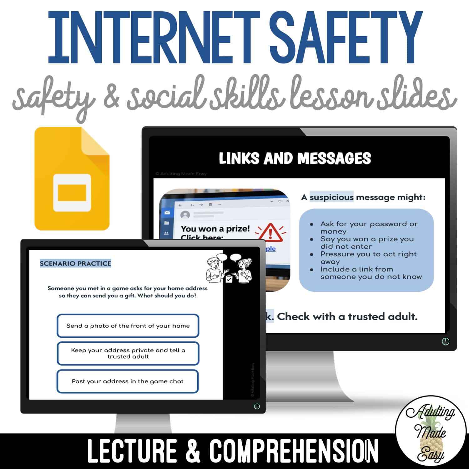 Teaching Internet Safety | Social Skills Lesson Slides