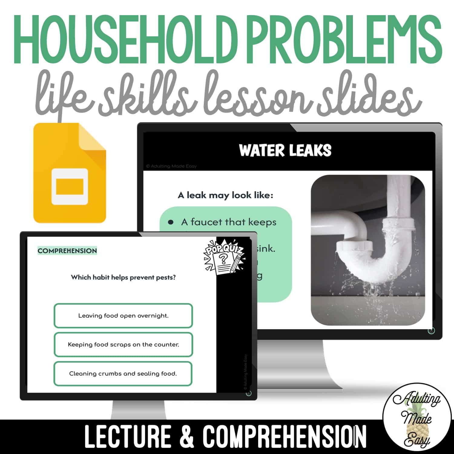 Teaching Household Problems | Safety & Life Skills Lesson Slides